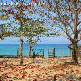 Camping Beira Mar- Praia de Fora - Trindade, Paraty RJ